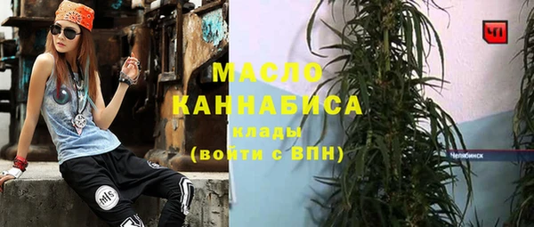 индика Елизово