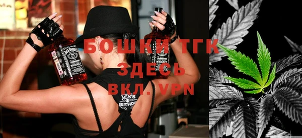 индика Елизово