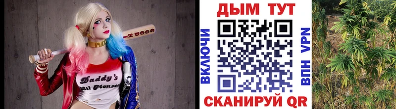 Конопля Ganja Мурманск